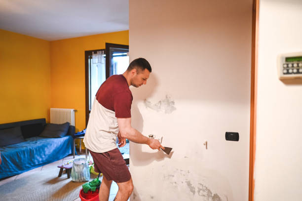 Office Mold Removal Services in Washougal, WA