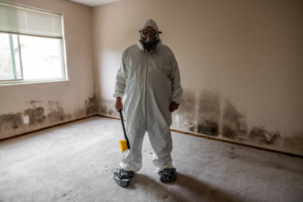 Certified Mold Removal in Washougal, WA